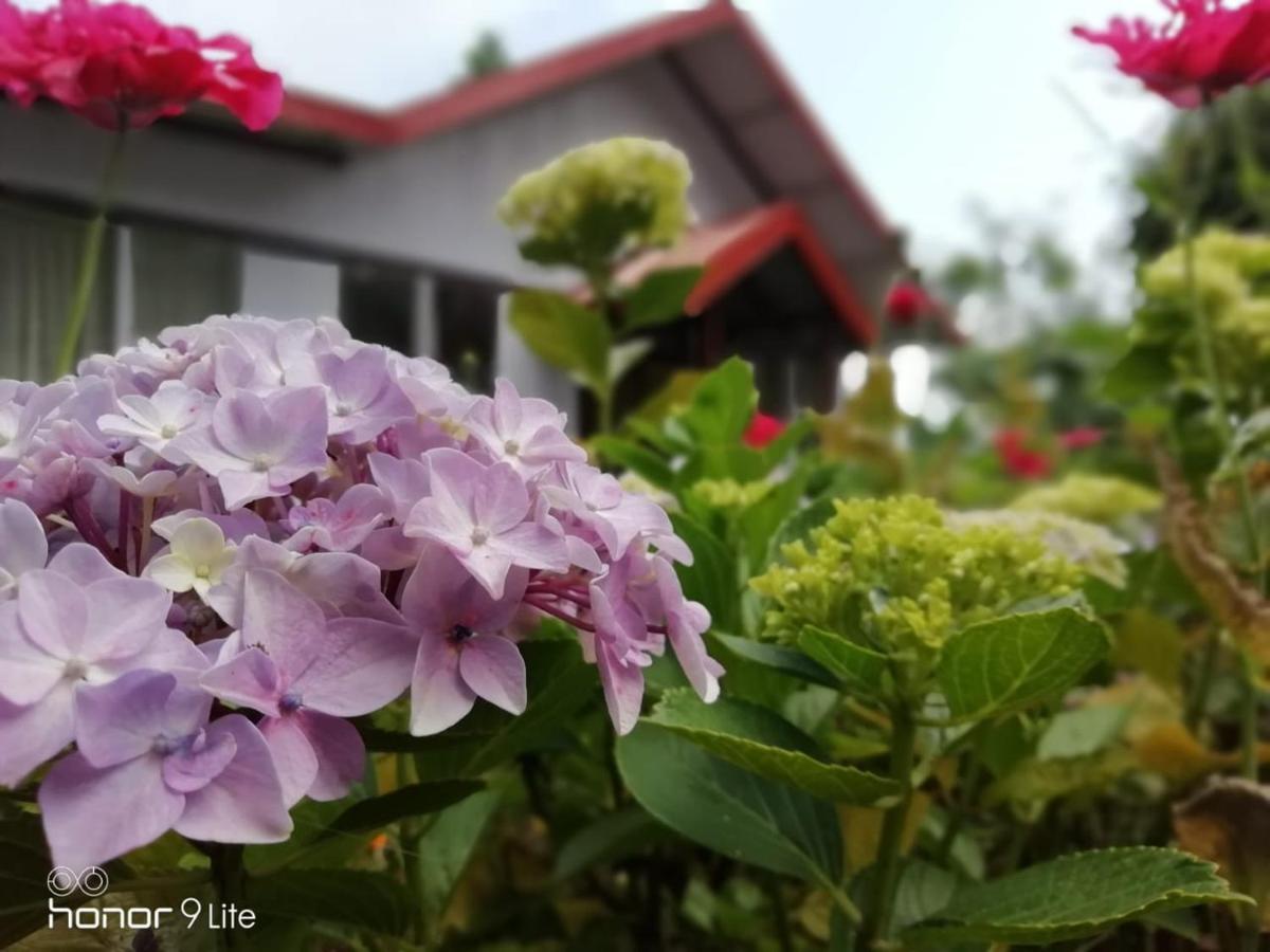 Pine Haven Resorts Takdāh Екстериор снимка